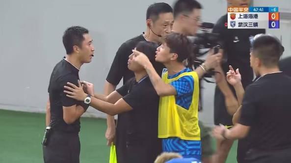 成人a毛片视频免费看