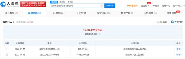 久久精品国产久精国产