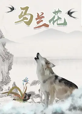 亚洲高清视频网站
