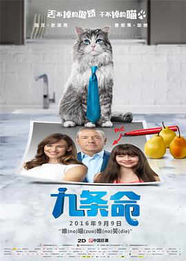 谭洪恩的回报