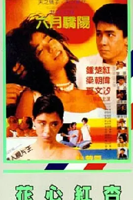 浪漫小姨妈