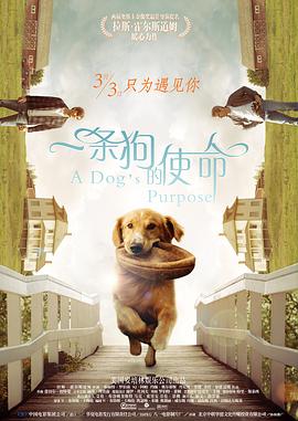 日韩欧美综合