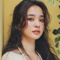 回归家族的小姐