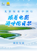 性8