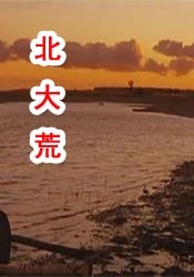一本色综合