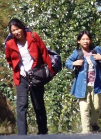 在线二区