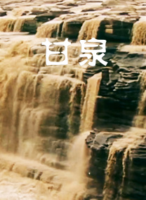 我的码子