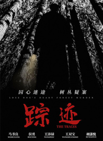 侄子的女粉丝