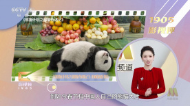 久久99热狠狠色一区二区