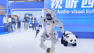 久久这里只有精品免费播放